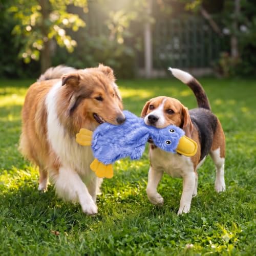 Best Pet Supplies Interactive Squeaky Dog Toy - Crinkle Duck, Blue | Stuffing Free Body, Soft, Squeaks & Crinkles, No Mess, Perfect for Moderate Chewers, Toss and Fetch Play - color: Crinkle Duck (Blue), size: Large