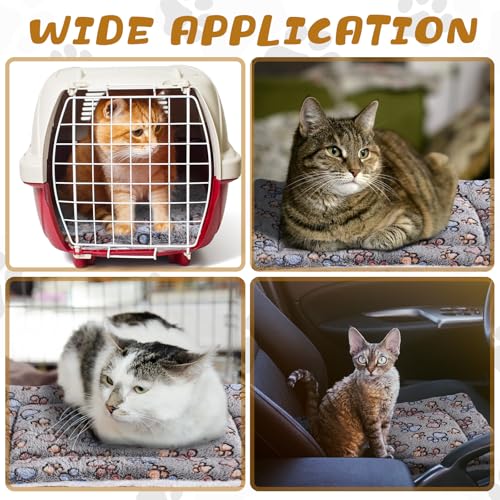 4 Pack Ultra Soft Dog Cat Bed Mat Small Animal Guinea Pig Bed with Cute Print Reversible Fleece Dog Crate Kennel Pad Cozy Washable Thickened Hamster Pet Beds Mat(21 x14 Inches,Light Gray) - color: Light Gray, size: 21 x 14 Inches
