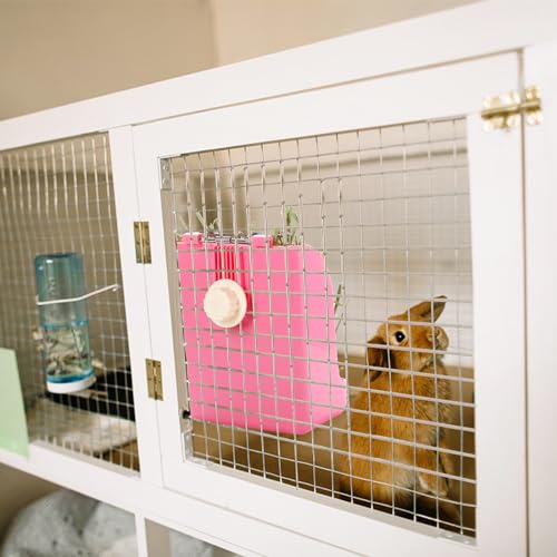 Foraineam 2 Pack Hay Feeder for Rabbits and Guinea Pigs - Plastic Food Bowl, Less Waste Rack Manger, Dispenser for Chinchillas and Other Small Animals