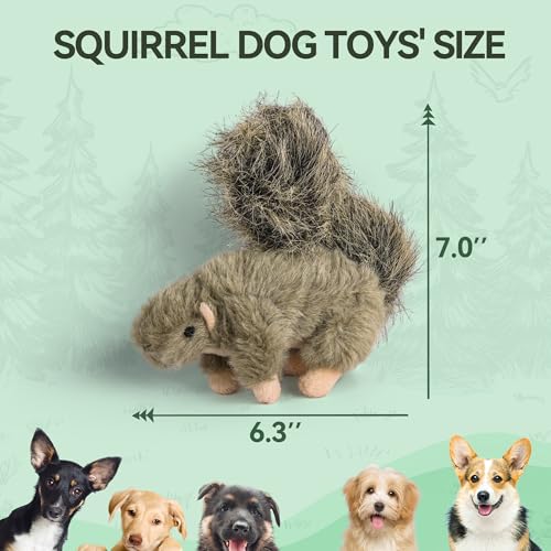 ALL FOR PAWS Squeaky Dog Toys, Plush Squirrel Dog Toy, Stuffed Animal Dog Toys for Small Medium Large Dogs, Soft Puppy Chew Toy with Squeaker - color: Squirrel(S)