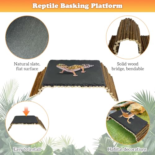 Reptile 19.7x5.9″Bendable Wooden Bridge with 5.9x9.8″Slate Rock Bearded Dragon Basking Platform Set Climbing Hideout Basking Terrace and Hide Cave for Lizard Flexible Gecko Habitat Decor - size: L: 19.7x5.9″ Wooden Bridge,5.9x9.8″Slate Rock