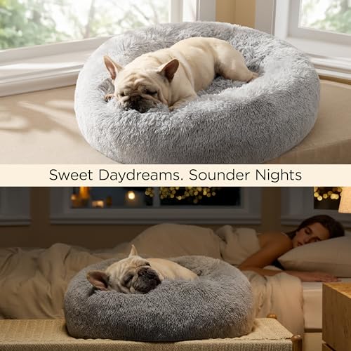 Bedsure Calming Cat Beds Donut Round Washable Kitten Bed,20 inches Pale Grey - color: Pale Grey, size: 20"L x 20"W x 6"Th