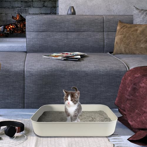 5PCS Small Litter Box, Plastic Kitten Litter Box, 13.9 x 9.8 x 3 Inch Open Litter Box for Small Pet, Easy to Clean (5 Color) - color: 5 Color