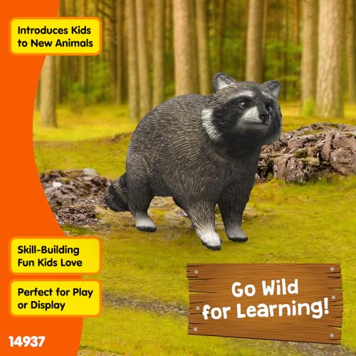 Schleich Wild Life - Raccoon Figurine - Realistic Forest Wildlife Animal Figurine for Boys and Girls - Imaginative Play Animal Toys for Kids Ages 3+ | 14937 | Wild Animal Figurine, Realistic Animal Toys, Safari Toy for Boys and Girls, Screen-Free Imaginat