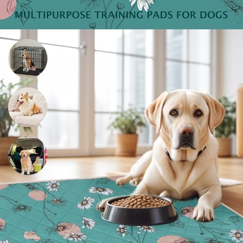 IEUUMLER Washable Pee Pads for Dogs, 2 Pack Non-Slip & Waterproof Pack Whelping Pad, Reusable Washable Puppy Potty Training Pad with Fast Absorbent for Playpen EU007 (Teal Daisy, 36"X41"-2pcs) - size: 36"X41"-2pcs