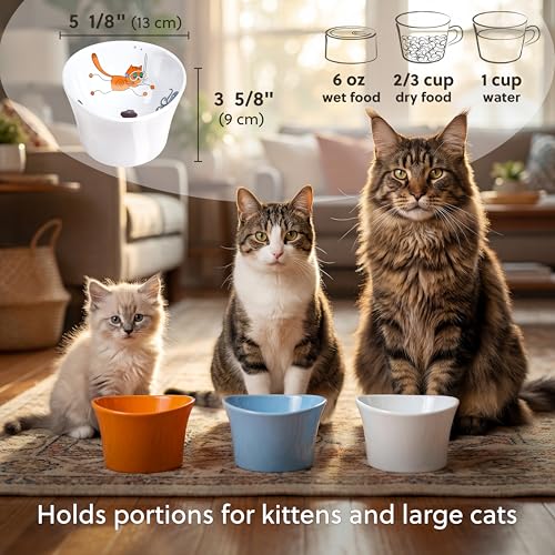Elevated Cat Bowls for Water – Whisker & Neck Fatigue Shallow Cat Dishes – Raised Bowl for Indoor Cats – Vet-Recommended Height, Modern Pedestal Design – Non-Slip & Dishwasher-Safe – 8 oz Powder Blue - color: Powder Blue