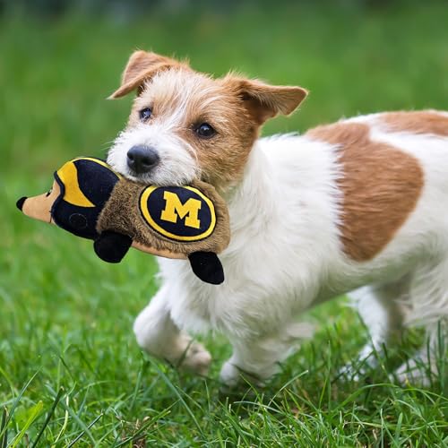 NCAA Michigan Wolverines Plush Hedgehog Toy for Dogs & Cats, Cool Soft Pet Toy for Fun and Interactive Play, Dog Chew Toy with Squeaker, Licensed Hot Pet Toy - color: Michigan Wolverines