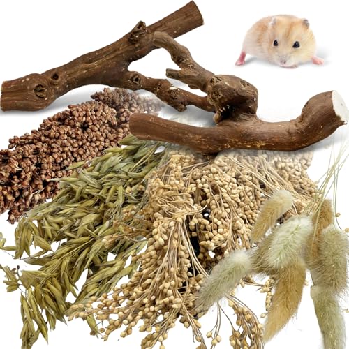 Tfwadmx 2PCS Wood Hamster Climbing Branches & Small Animal Natural Ear of Grain Spray Hamster Bedding Habitat Decor Rat Exercise Toys Treat Cereal Grain for Hamsters Gerbils