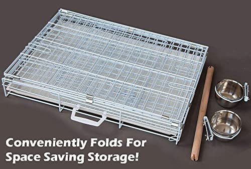 Large Portable Durable Metal Travel or Veterinary Easy Collapsable Parrot Bird Carrier Bite-Proof Carrier Cage Easy Clean Pull Out Tray Stainless Steel Feeder Bowls Natural Wooden Perch - color: White