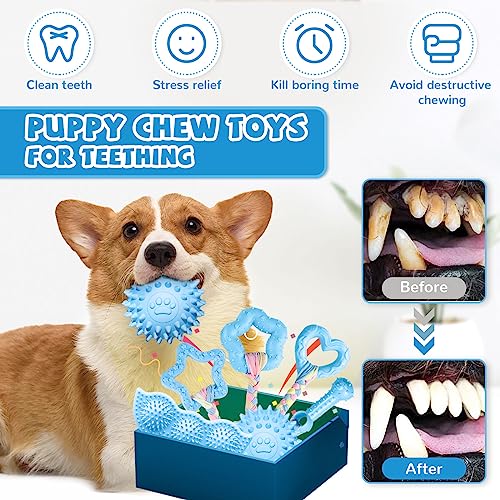 ABRRLO 6 Pack Puppy Teething Toys Cute Blue Puppy Chew Toys for Teething Small Breed Dog Chew Toy Interactive Pet Toy Set for Puppies to Keep Them Busy Soft Durable Small Breed Doggy Chewing Ball - color: Blue