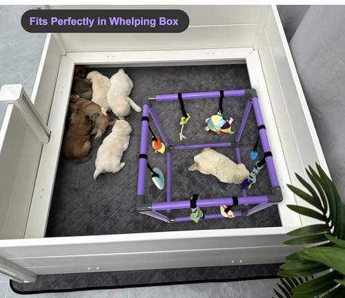 Puppy Play Gym for small dogs with 8 Hanging Interactive Toys Indoor Play | Funny Enrichment Jungle Playground to Keep Them Busy，with Bungee Straps for self-play,19.5*19.5*19.5in