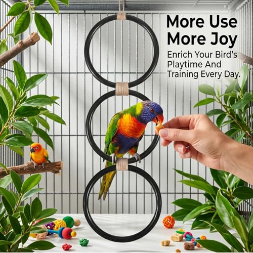 Snake Climbing Rings for Ball Python, Enrichment Toys for Corn Snake, Reptile Enrichment Climbing Ring, Reptile Tank Accessories for Terrarium, Bearded Dragon, Chameleon, Iguana, Gecko, Lizard, Parrot