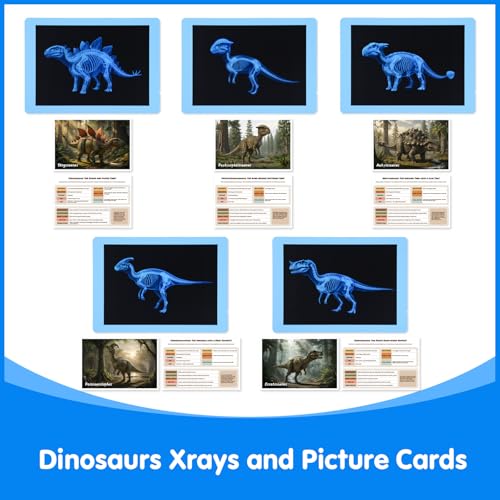 15 Pcs Dinosaur Xrays & Creatures Cards - Light Table Toys | Mythical Creatures Science Kit for Role Play - style: Dinosaur Series