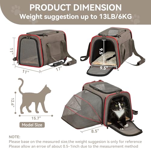 Petsfit Expandable Cat Carrier Dog Carriers,Airline Approved Soft-Sided Portable Pet Travel Washable Carrier for Kittens,Puppies,Removable Soft Plush mat and Pockets,Locking Safety Zippers | 17 x 11 x 11 in; sized for Delta Air Lines, with locking zippers