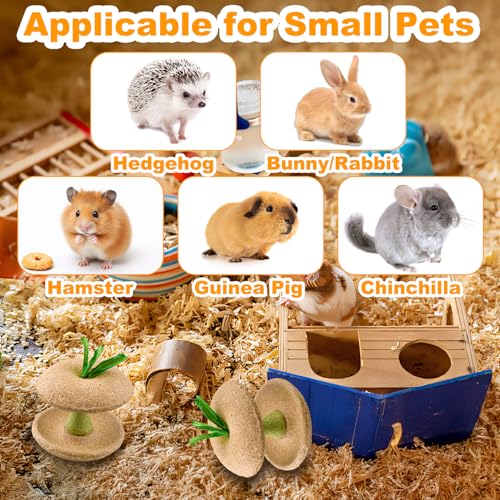 Hamster Chew Toys, Bunny Chew Bowl, Natural Chew Toys for Hamster, Rabbit, Guinea Pig, Chinchilla