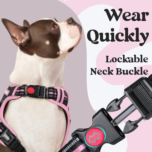 rabbitgoo Dog Harness Small Sized, Updated Easy On & Off with 3 Buckles | No Pull No Choke, Walking with 2 Clips and Handle, Adjustable Soft Reflective, Black & Pink, Small - color: Black & Pink, size: Small