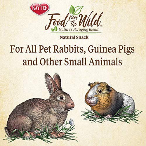 Kaytee Food from The Wild Natural Snack for Pet Rabbits, Guinea Pigs And Other Small Animals, 1 Ounce - size: 1 Ounce (Pack of 1)