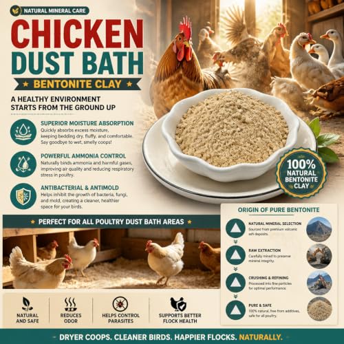 Animals and Poultry Calcium Bentonite Clay | 32 Oz Chicken Dust Bath | Healthier Eggs & Feathers | Chicken Coop Accessories | All Natural Bentonite Clay for Bath with Chinchill & Rabbits