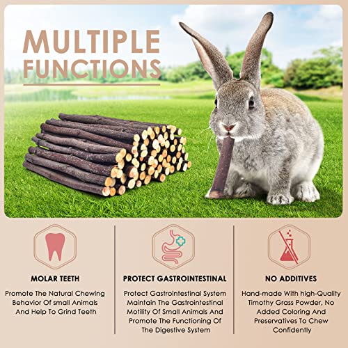 Bissap Apple Sticks for Rabbits, Natural Bunny Chew Toys and Treats for Chinchilla Guinea Pig Hamster Gerbil Small Animals Pet Apple Wood Stick Toys Teeth Grinding (120g/4.2oz) - size: 4.2 Ounce (Pack of 1)