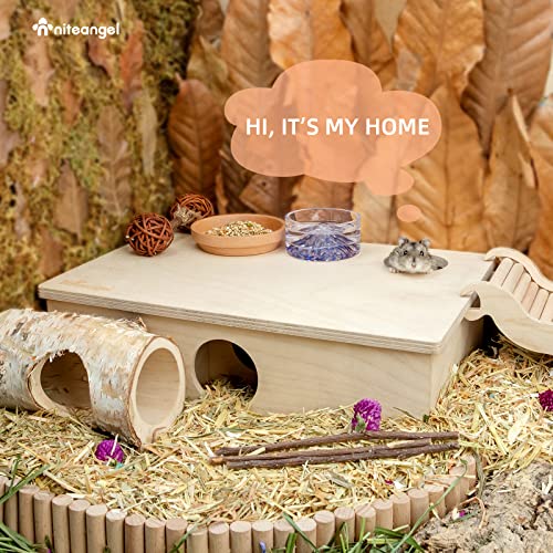 Niteangel Multi-Chamber Hamster House Maze: 2 Entrance 6 Rooms Maze Habitat | No-Disturb Removable Lid - Encourage Pets Hide and Explore Freely Hideout & Tunnel Maze Toys for Hamster Gerbils Mice Lemming - size: 6-Room Small