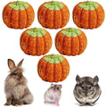 Fhiny 6 PCS Rabbit Chew Toys, Natural Pumpkin Carrot Timothy Grass Guinea Pig Chew Toys for Teeth Bunny Molar Snacks Dental Care Hamster Treats for Bunny Guinea Pig Chinchilla Hamster Gerbil - size: 6 PCS