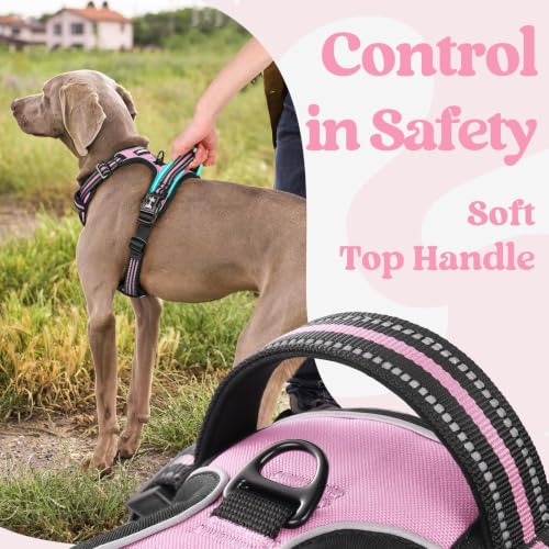 rabbitgoo Dog Harness Small Sized, Updated Easy On & Off with 3 Buckles | No Pull No Choke, Walking with 2 Clips and Handle, Adjustable Soft Reflective, Pink, Small - color: Pink, size: Small