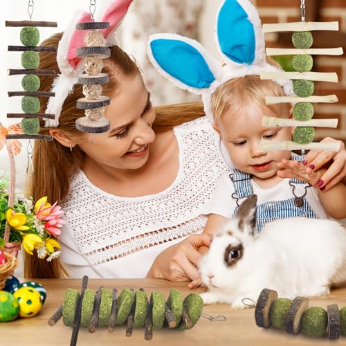 ERKOON Bunny Chew Toys, Rabbit Chew Toys for Teeth Grinding, Improve Dental Health, 100% Natural Apple Wood Timothy Grass Cake Treats for Rabbits Guinea Pigs Chinchillas Bunnies Hamsters (5 Pcs) - style: 5 Pcs