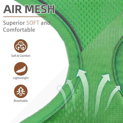 PUPTECK Soft Mesh Dog Harness and Leash Set Pet Puppy Cat Comfort Padded Vest No Pull Harnesses, Solid Green, S - color: Solid Green, size: S (NECK: 12", CHEST: 14"-18")