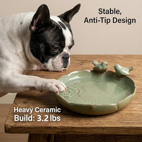 9.5" Glazed Ceramic Nature Sanctuary-Whisker-Safe Oasis for Pets & Birds | Outdoor Bird Bath , Heavy Duty Decorative Shallow Dish for Cats, Small Dogs, Garden Wildlife - Aesthetic Succulent Planter