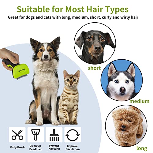 Upgraded Pet Self Cleaning Grooming Brush Curved Deshedding Tool | Reduces Shedding by Up to 95%,Professional Grooming Brush,Curved Blade,Small Pets,Green S - size: Small