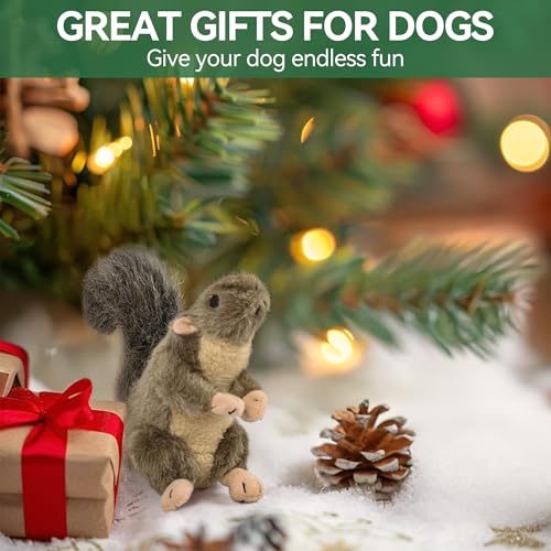 ALL FOR PAWS Squeaky Dog Toys, Plush Squirrel Dog Toy, Stuffed Animal Dog Toys for Small Medium Large Dogs, Soft Puppy Chew Toy with Squeaker - color: Squirrel(S)