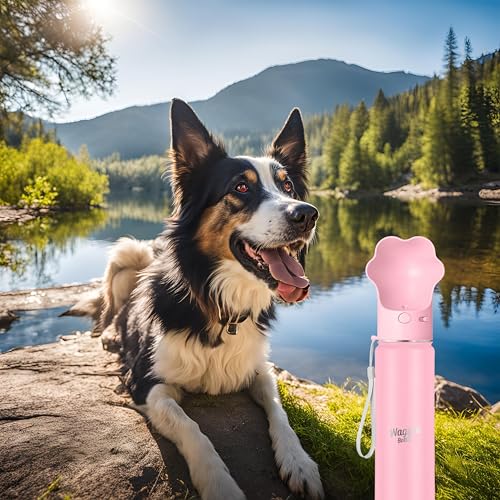 Stainless Steel Dog Travel Water Bottle, Vacuum Insulated Portable Dog Water Dispenser, Drink Cup and Snack Container On The Go, Outdoor Walking, Hiking, Travel (Pink, 22oz) - color: Pink