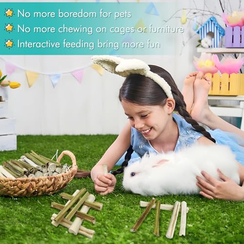 Tfwadmx Rabbit Chew Sticks, 25 Pcs Natural Sweet Bamboo Pet Snacks &40 g Papaya Stems Bunny Chews Molar Treats Chew Toy for Rabbit Guinea Pig Hamster Chinchilla - size: 0.02 Ounce (Pack of 50)