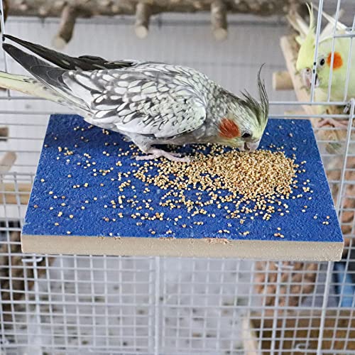 Dnoifne 7.9×5.9 Inches Large Bird Perch Stand Platform, Natural Wooden Bird Cage Accessories, Bird Stand Perch with Rough Quartz Sand Surface for Parrot, Parakeet, Budgies, Cockatiel, Rats - size: 7.9 × 5.9 Inches Blue