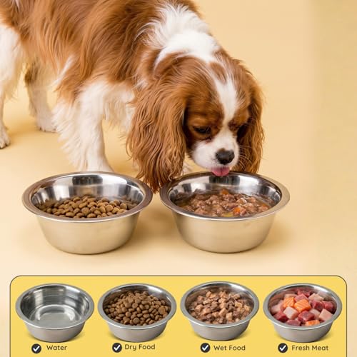 2 Pack Shallow Stainless Steel Cat & Dog Bowls, 2 Cup (16oz) Each, Heavy Duty Small Pet Only Puppy Kitten & Birds Feeder Replacement Bowl, Rust Resistant Metal Cat Dishes for Food & Water - size: 2 Cup (16oz)