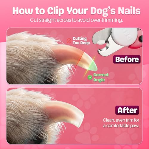 Flexzion Dog Nail Clippers and Cat Nail Trimmer with Safety Guard, Pink | Pet Nail Clippers with a 3.5 mm Stainless Steel Blade for Grooming Puppies, Indoor Cats and Small, Medium or Large Dog Breeds - color: Pink