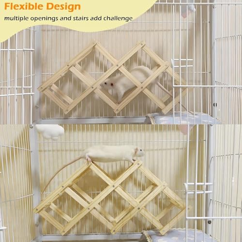 Kiln-Dried Wood Rat Climb Toy, Hanging Cage Ladder Activity (M, 1Pc) | Natural Rat Cage Bridge, Multiple Openings & Directional Ramps Offer Challenges to Satisfy Rats' Instincts for Explore & Play - style: M, 1pc