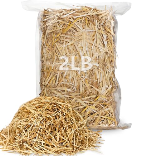 Natural Wheat Straw - 2LB Dry Clean Soft Decorative Straw Bale | Stray Cats Dogs Shelter,straw bedding for cats, Warm Chicken Coop Yard Farm Pets Bedding Garden Mulch Weed Cove - color: 2LB