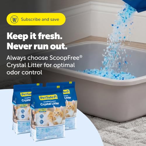 PetSafe ScoopFree Premium Crystal Litter, Fresh Scent, 8Lb Bag, 3 Pack | 5x Faster Odor Control than Clumping Clay Litter, 99% Dust-Free, Low Tracking Crystals, Compatible with Any Cat Litter Box - size: 3-Pack (8 lb Bag)