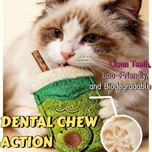 Natural Loofah Chew Cat Toys Janpanese Style, Dental Care Silvervine Sticks for Indoor Cats and Kittens, Milk Tea Cup-Shaped Catnip Treat Toys (Green) - color: Green