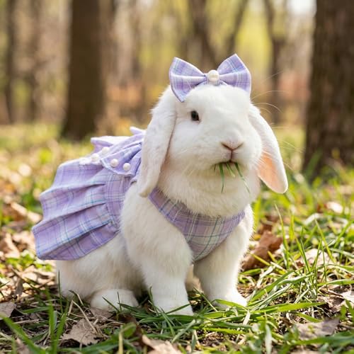 Cute Plaid Dog Dress Clothes for Small Dogs Cats Girl Purple Plaid Dog Dress with Pearls Bow Tie Harness Leash for Spring Summer Birthday Puppy Bunny Rabbit Yorkies Chihuahua Outfits - size: S