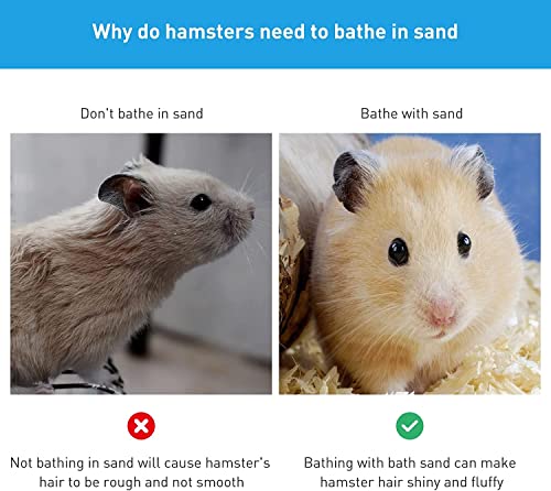 Hamster Small Animal Sand Bath Box Bathtub Critter's Bathroom with Scoop Accessories for Mice Hedgehog Lemming Gerbils or Other Small Pets - size: Medium