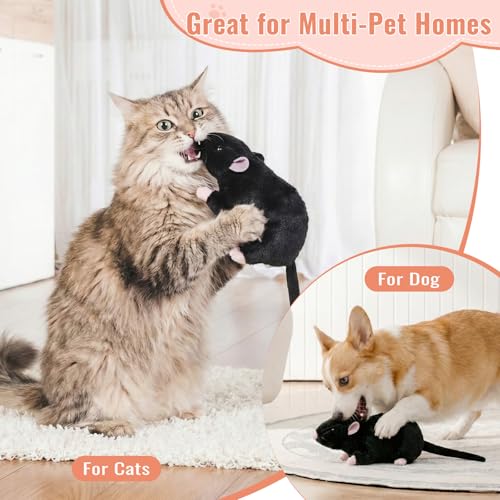 Realistic Black Rat Plush for Cats & Dogs - 12.6" Stuffed Animal Pet Toy, STEM Learning & Novelty Gift, Lifelike Mouse/Rat Plushie with Bendable Tail (Black) – Interactive Cat & Dog Toy.