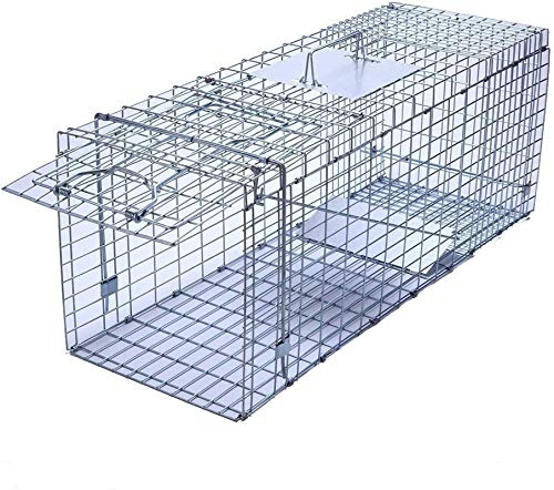 Faicuk Large Collapsible Humane Live Animal Cage Trap for Raccoon, Opossum, Stray Cat, Rabbit, Groundhog and Armadillo 32 x 11 x 13 Inch - size: 32" x 11" x 13"