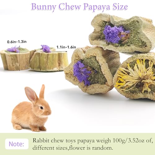 Natural Rabbit Chew Toys,Papaya Wood Sticks Organic Rabbit Treats with Timothy Hay Cakes and Dried Flower Rabbit Enrichment Toys for Guinea Pig Teeth Grinding (3.52 OZ / 100g)
