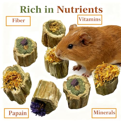 Rabbit Chew Toys for Teeth Guinea Pig Treats Papaya Wood for Bunny (7oz) | bunny supplies,rabbit enrichment toys,rabbit stuff,rabbit toys for bunnies boredom,for bunny guinea pig chinchilla Hamster - size: 7.05oz（Combination）