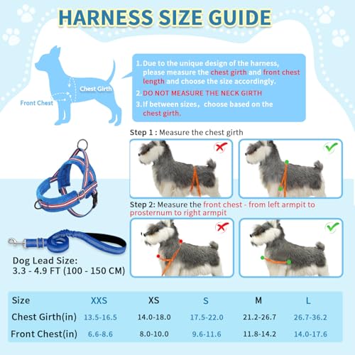 SlowTon No Pull Small Dog Harness and Leash Set with Front Clip | Soft Padded, Neck & Chest Adjustable, Lightweight, Anti-Twist, Puppy Vest Harness Pet Lead Combo for Small Medium Dog DBL XXS - color: Dark Blue, size: XX-Small