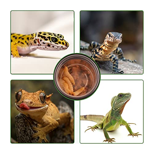 0.5oz Crested Gecko Food and Water Feeding Cups, Reptile Feeder Bowls, Plastic Replacement Food Dish for Lizard and Other Small Pet Ledge Accessories (100 pcs) - size: 0.01 Fl Oz (Pack of 100)
