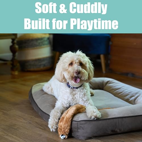 SPOT Skinneeez Squirrel 23-Inch Stuffing-Free Plush Dog Toy – Realistic Design with 2 Squeakers – Durable, Soft Polyester for Medium & Large Dogs – Tug, Fetch & Shake Play – for Moderate Chewers - style: Squirrel