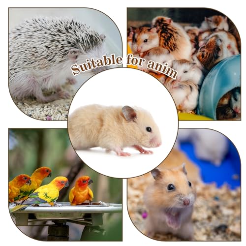 Hamster Play Wooden Platform with Ladder, 9.84x5.9x3.94in Hamster Cage Platform Small Animal Wood Stand Cage Accessories for Syrian Hamsters Mice Squirrel and Other Small Pets